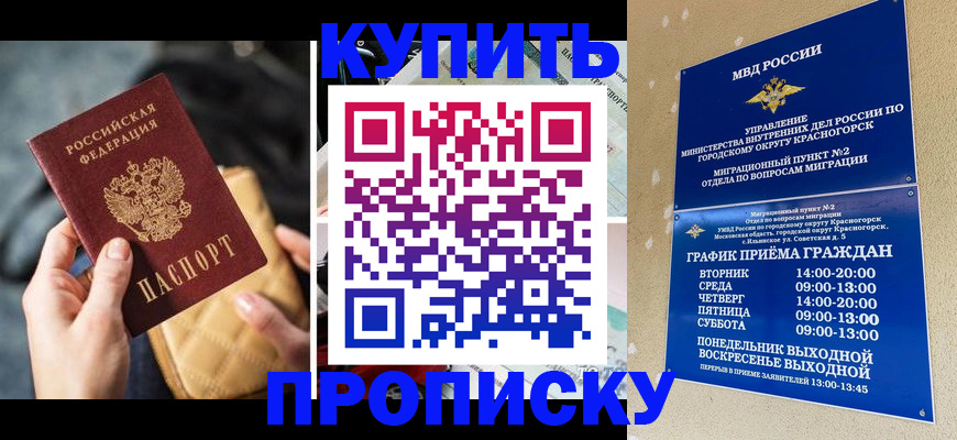 прописка законно в Елизово